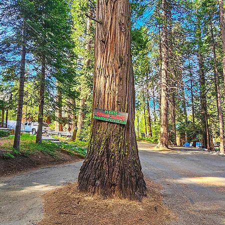 Vila Water'S Edge Retreat Shaver Lake Exteriér fotografie