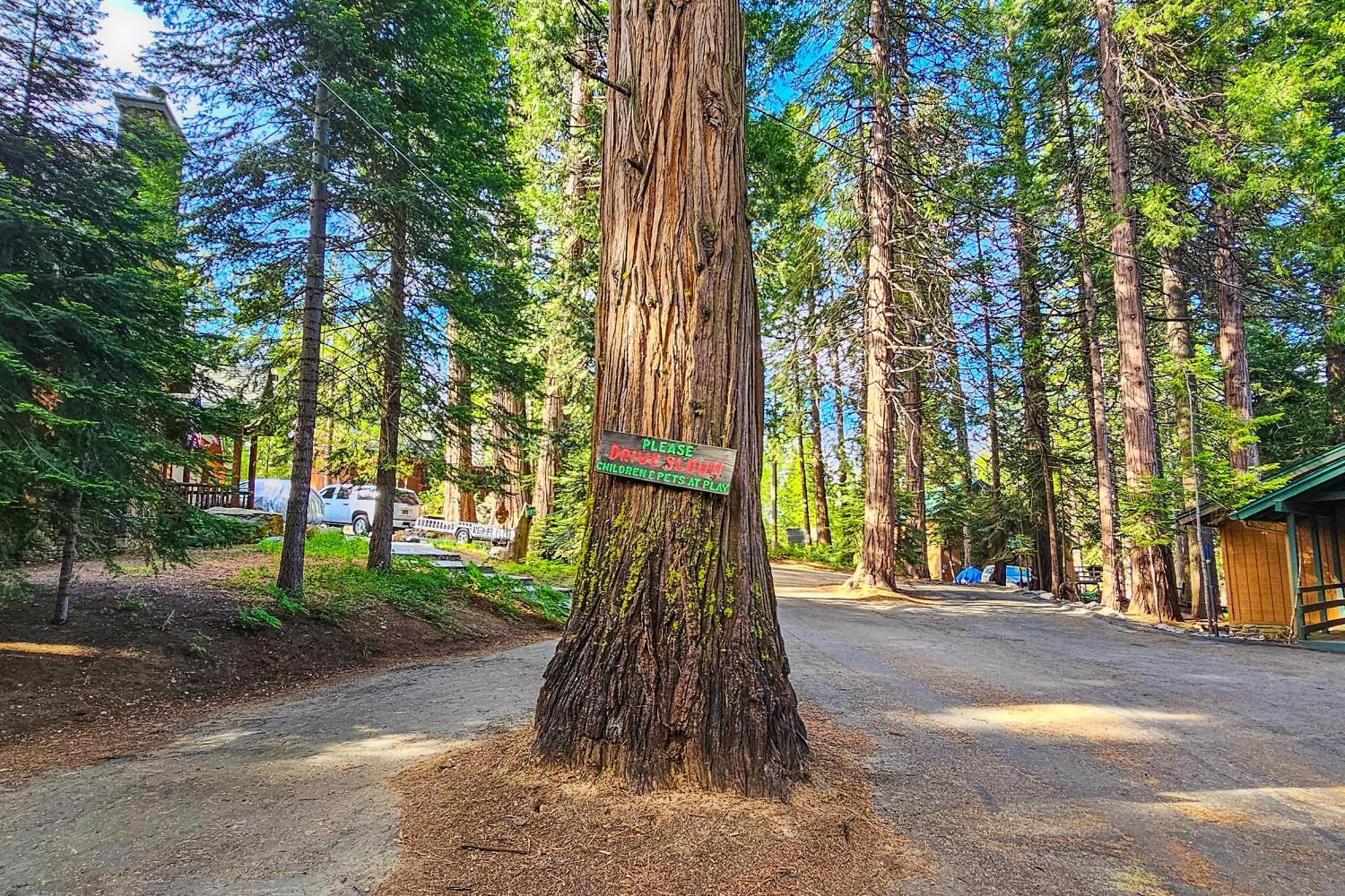 Vila Water'S Edge Retreat Shaver Lake Exteriér fotografie