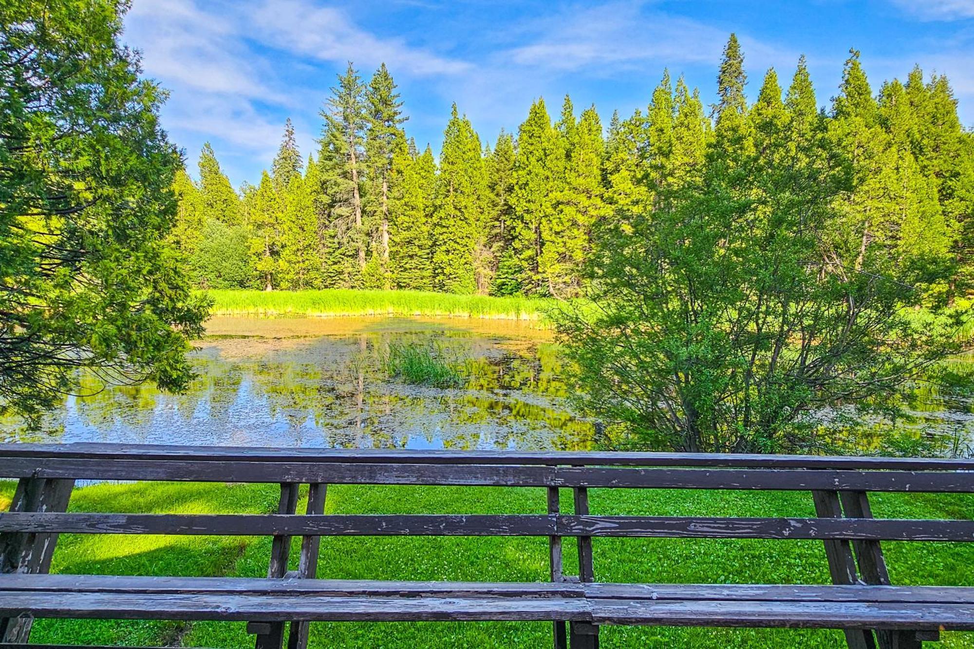 Vila Water'S Edge Retreat Shaver Lake Exteriér fotografie